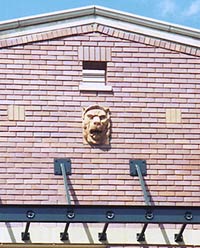 Lion in Chicago