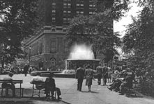 A park view
